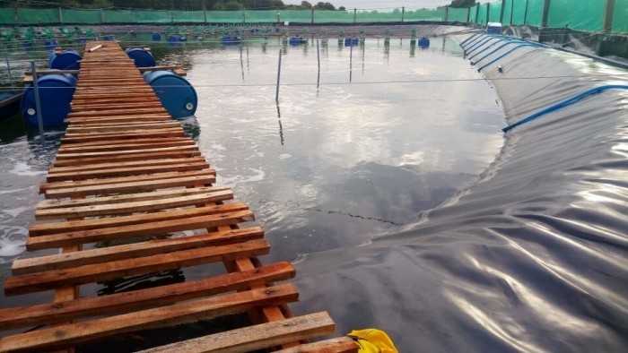 Hình ảnh : bạt lót hồ nuôi thủy sản Hòa Phát Đạt
