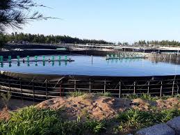 Thi công bạt lót ao hồ HDPE chống thấm nuôi trồng thủy sản