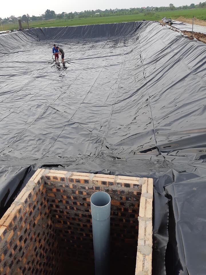 Thi công bạt lót ao hồ HDPE chống thấm nuôi trồng thủy sản