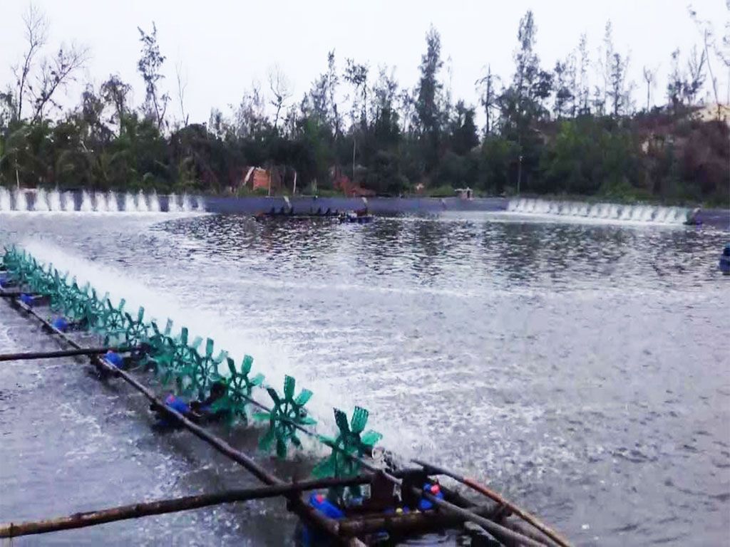 Hình ảnh: bạt lót hồ chứa nước Hòa Phát Đạt
