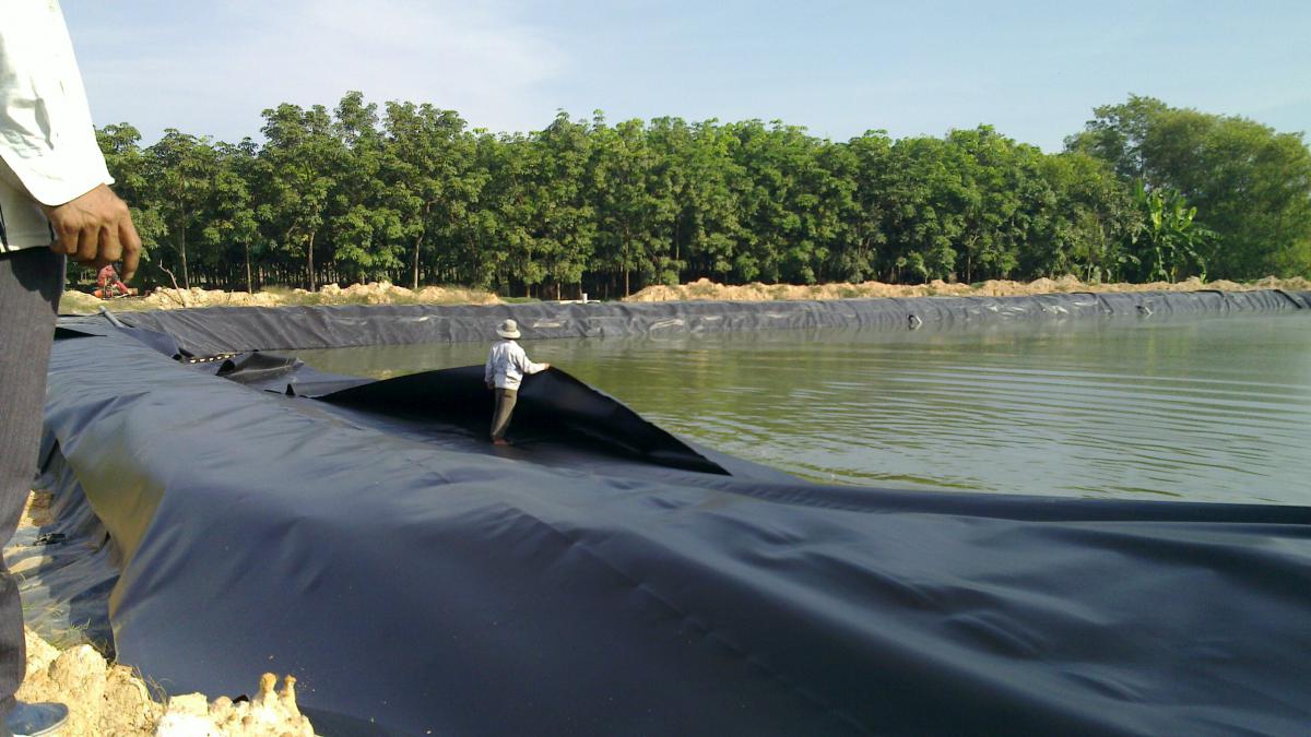 Hình ảnh: thi công hàn ghép nối bạt nhựa HDPE phủ bờ ao khổ 10m Hòa Phát Đạt