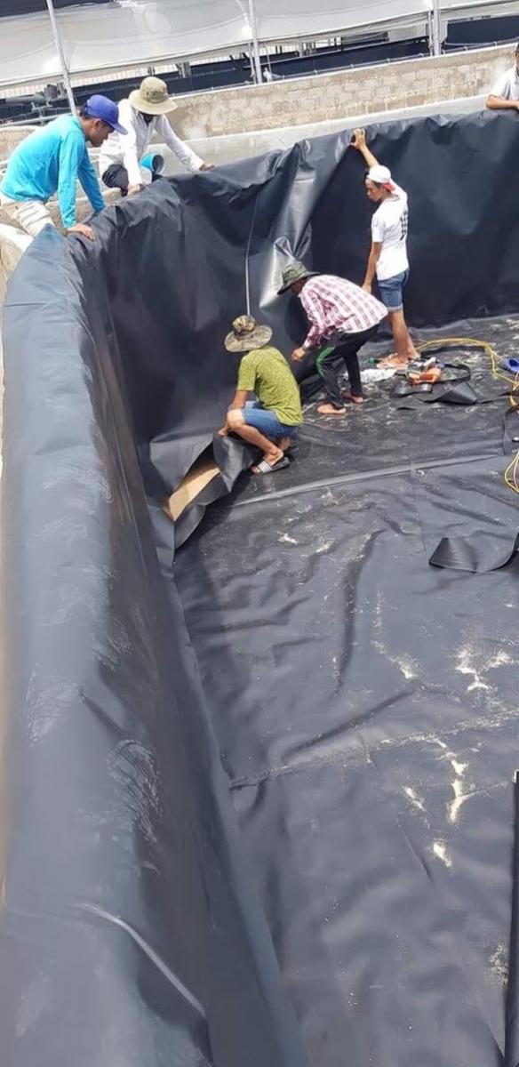 Hình ảnh: thi công hàn ghép nối bạt nhựa HDPE phủ bờ ao khổ 10m Hòa Phát Đạt